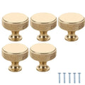 Pack 5 pomos dorados moleteados para cocina, cajones y armarios – Ø 30 mm
